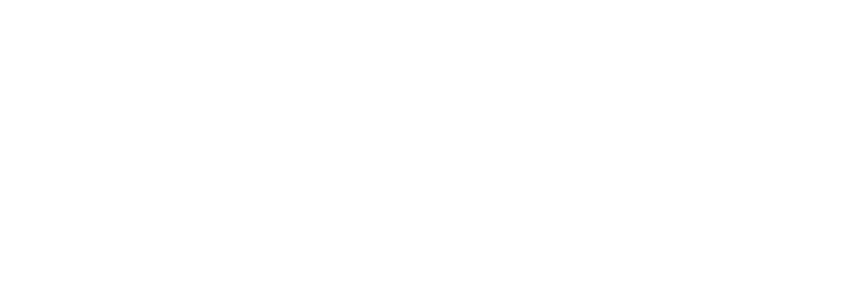The Mosaic Arena, Event Details